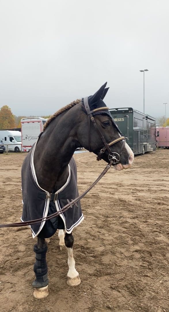 Media 1 av Banroc Valentino