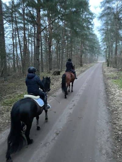 Inlägg 30 av Allround