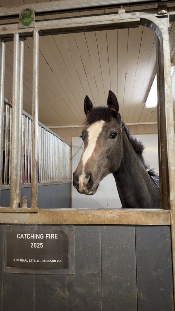 Image 1 of Catching Fire