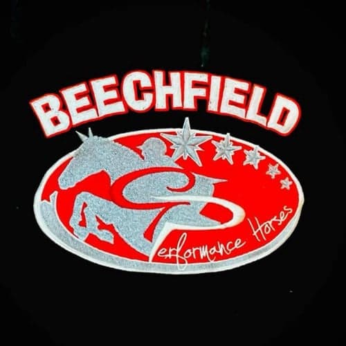 Profile picture of Beechfield Stables Sport Horses