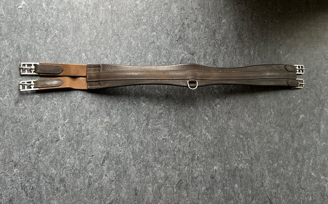 Bild 1 av Brun sadelgjord