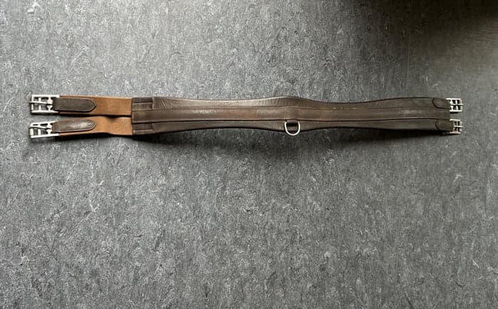 Media 1 av Brun sadelgjord