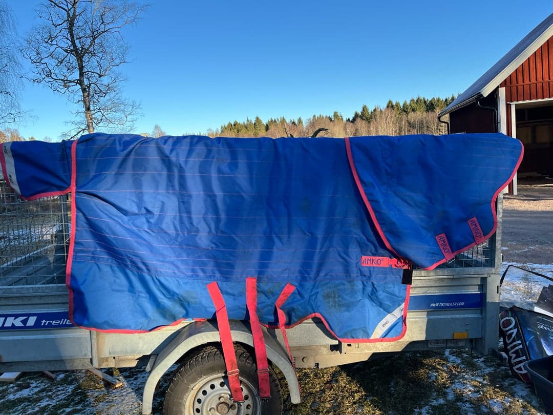 Image 1 of Amigo Bravo 12 Plus Reflech 250gram 