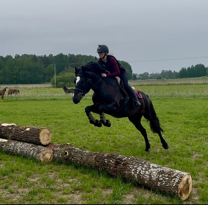 Media 10 av Dynamo Harry