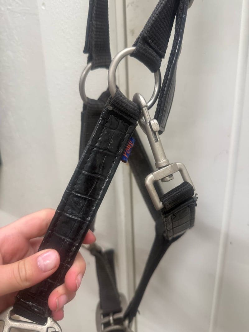 Image 2 of Svart fake läder grimma med lack/glans 