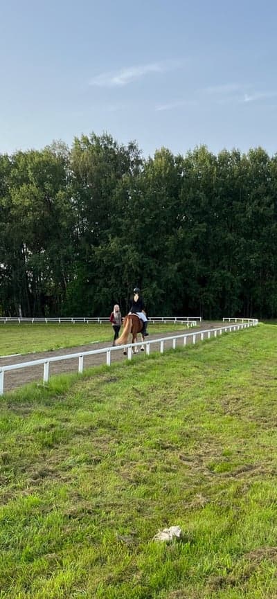 Inlägg 20 av Island