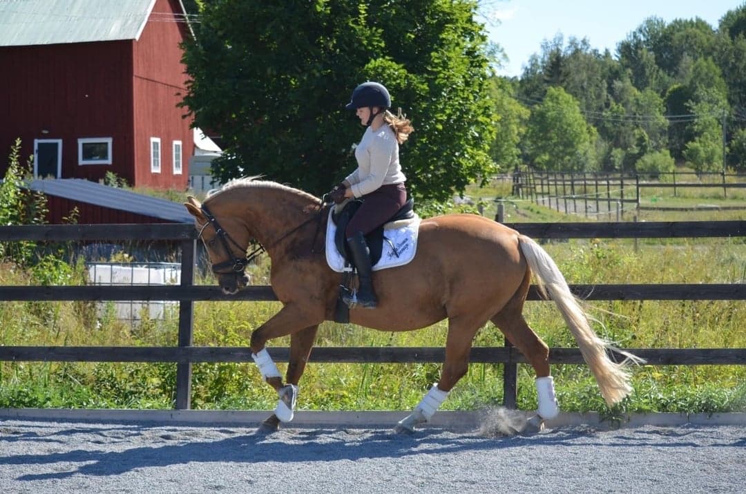 Bild 1 av placeholder text