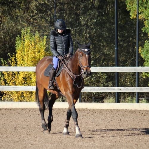 Profilbild av Miranda Bohman