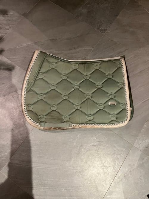 Bild av Grön Sadelpad