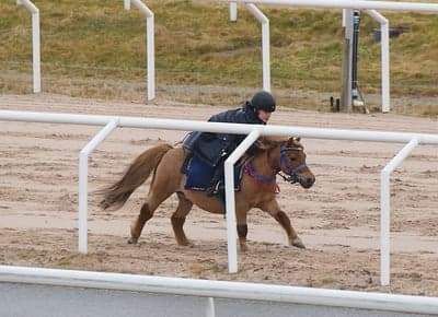 Inlägg 22 av Ponnygalopp med titeln Ponnygalopp 