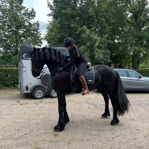 Profilbild av ulrika söderberg