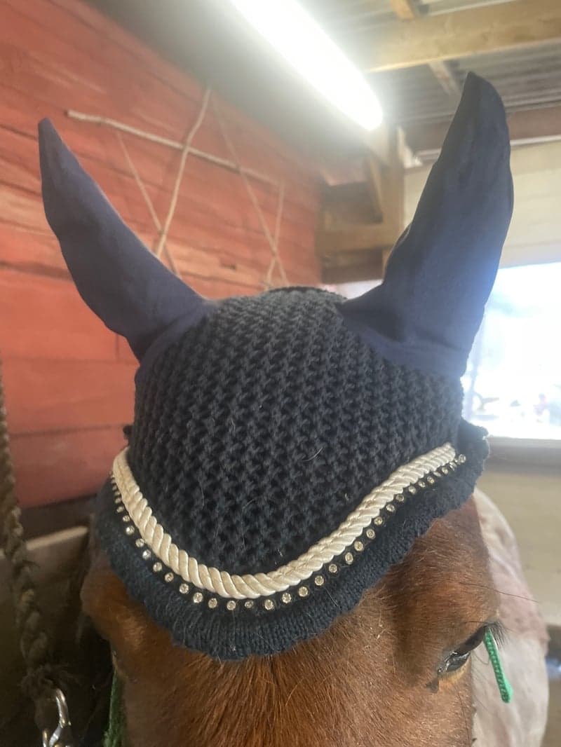Bild 2 av Mörkblå huva stl ponny