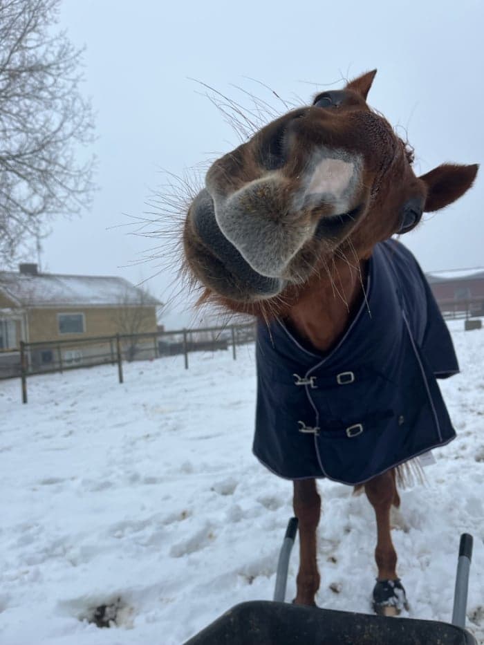 Media 6 av M.M.Hot For Cash