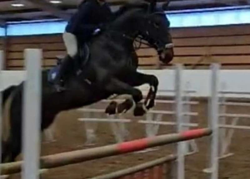 Bild 4 av LeonasYouana