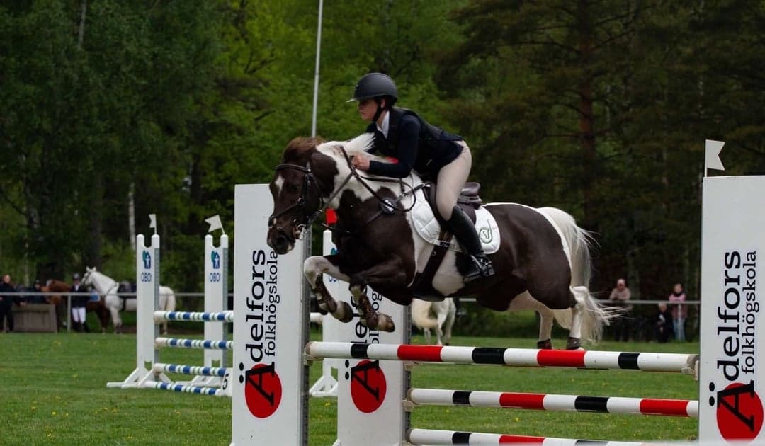 Image 1 of Newbawn Apache