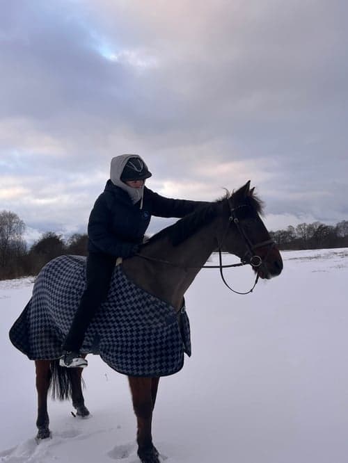 Bild av Bästa vän tillsalu