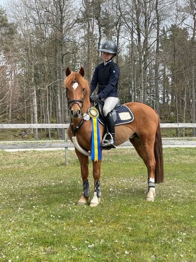 Inlägg 81 av Hoppning