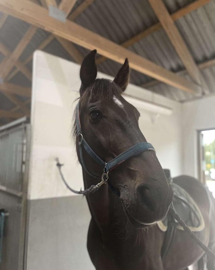 Media 1 av Great guy