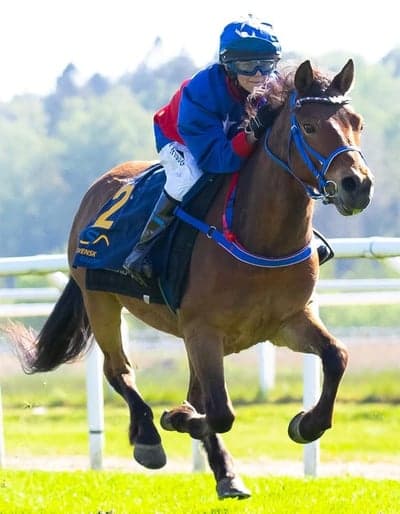 Inlägg 6 av Ponnygalopp med titeln Ponnygalopp 