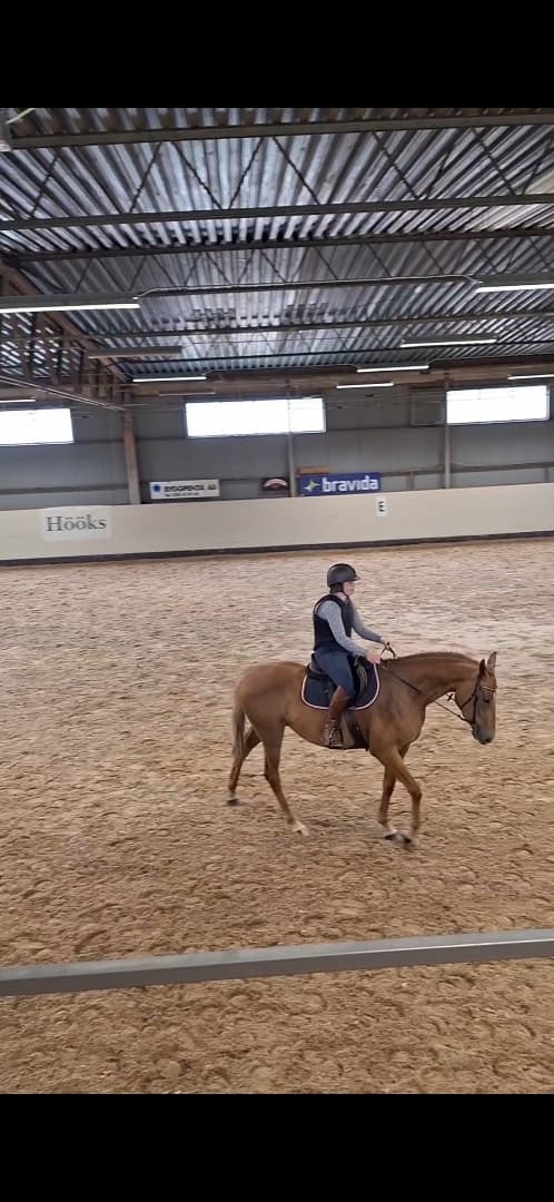 Bild av Världens härligaste 3-åring