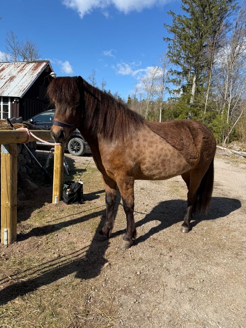 Bild 1 av Lúkas från Sångfågeln