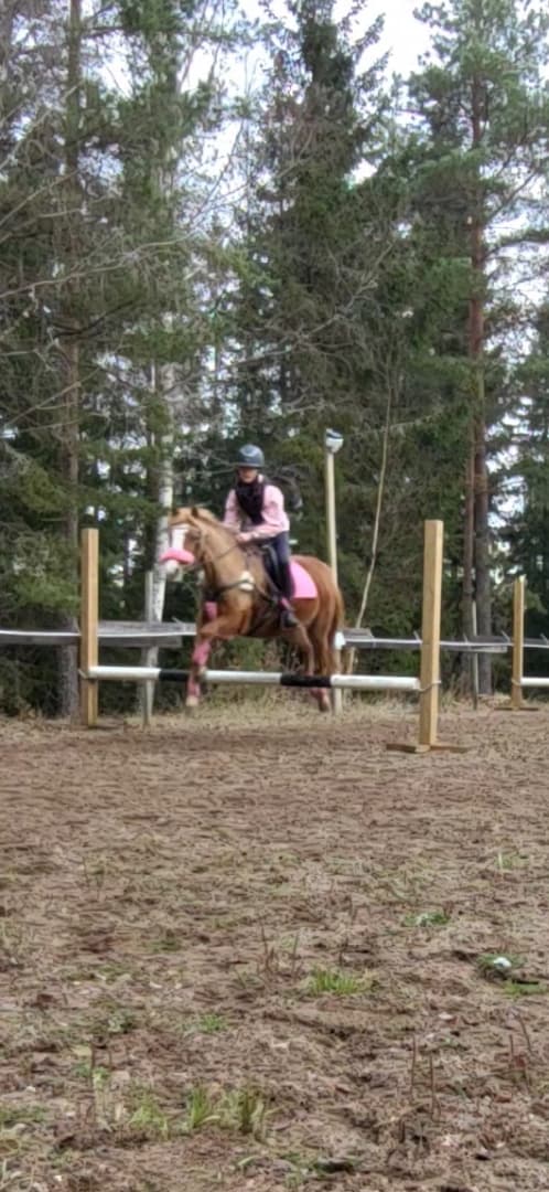 Media 11 av Scilla |||