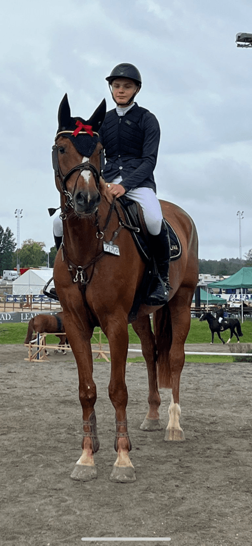 Bild 4 av Hope For Golden Z