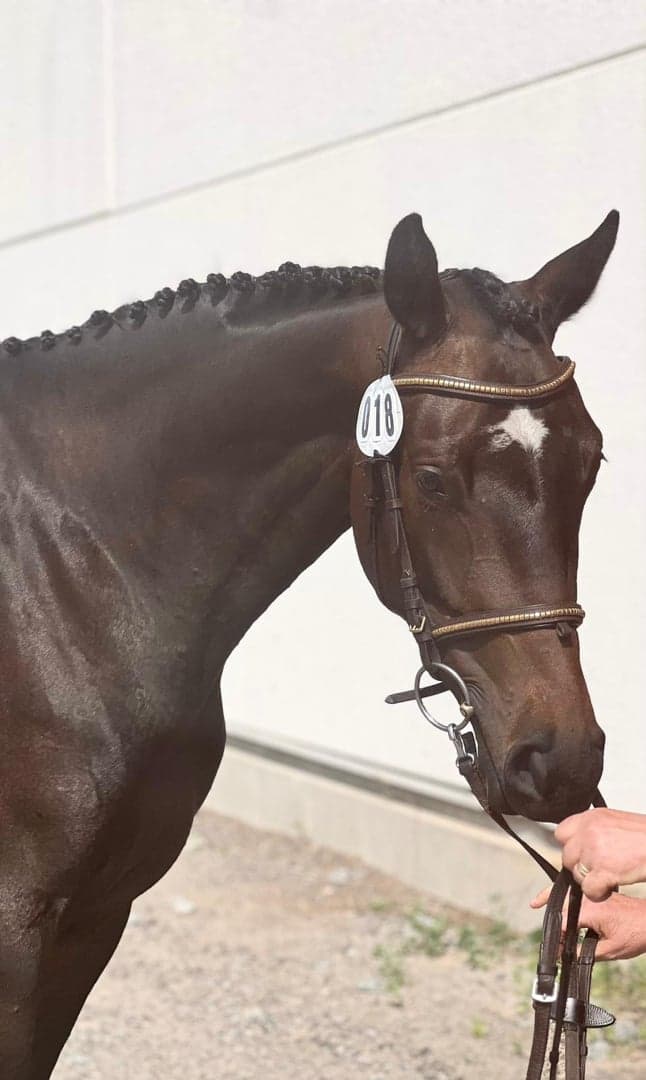 Media 3 av McKies Hjördis