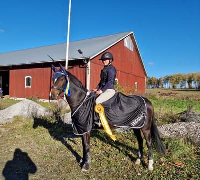 Inlägg 449 av Hoppning med titeln Lag vinst❤️