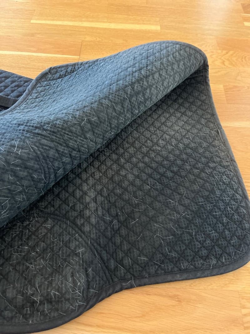 Bild 2 av Svart schabrak från Trinity