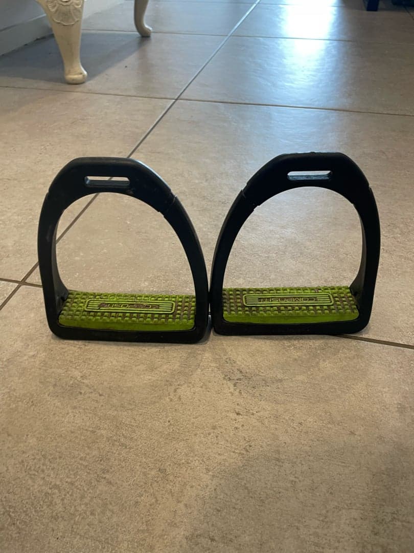 Bild 1 av Svarta stigbyglar