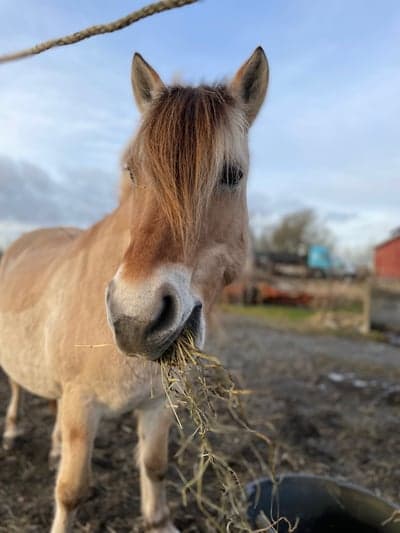 Inlägg 12 av Allround
