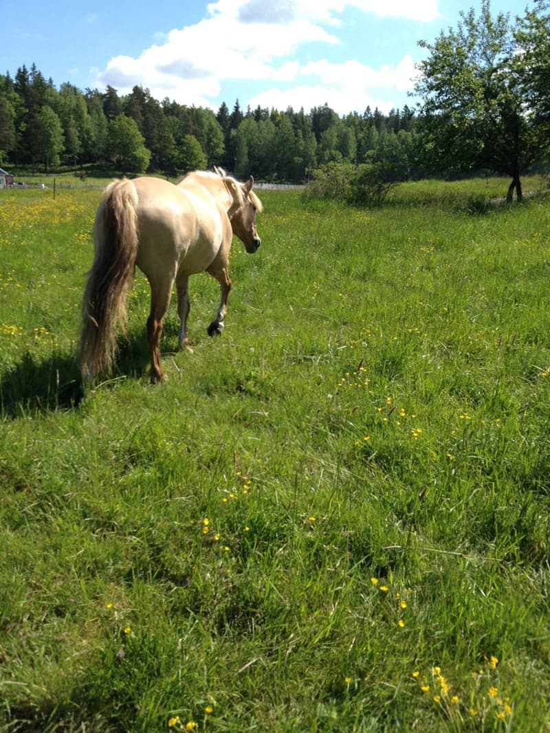 Bild 3 av placeholder text