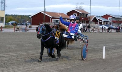 Inlägg 6 av Allround med titeln Ponnytrav