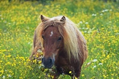 Inlägg 21 av Allround med titeln Sommarlov 