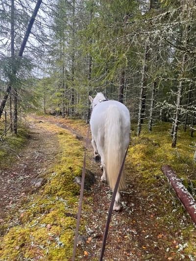 Inlägg 5 av Allround