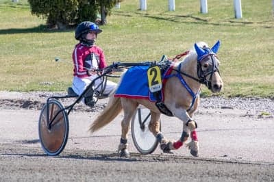 Inlägg 90 av Trav med titeln Ponnytrav 