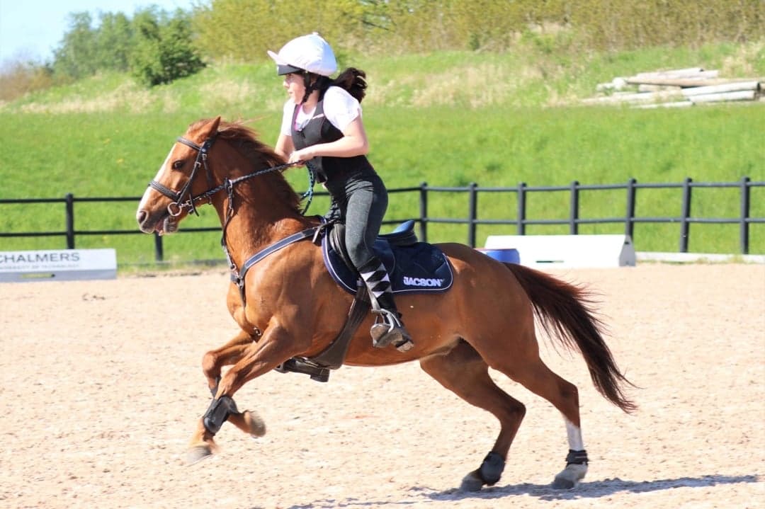 Image 1 of Killyckoghan jewels