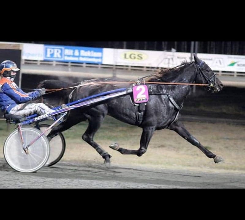 Bild 2 av Glace au Four