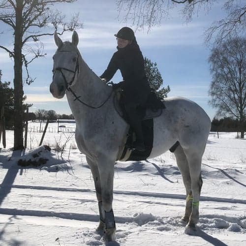 Profilbild av Hanna Petersson