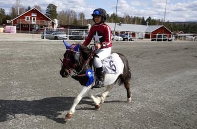 Inlägg 17 av Monté med titeln Monte