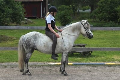 Inlägg 38 av Allround