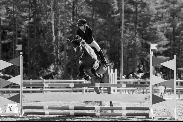 Media 1 of Rozz wilda