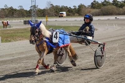 Inlägg 93 av Trav med titeln Ponnytrav 