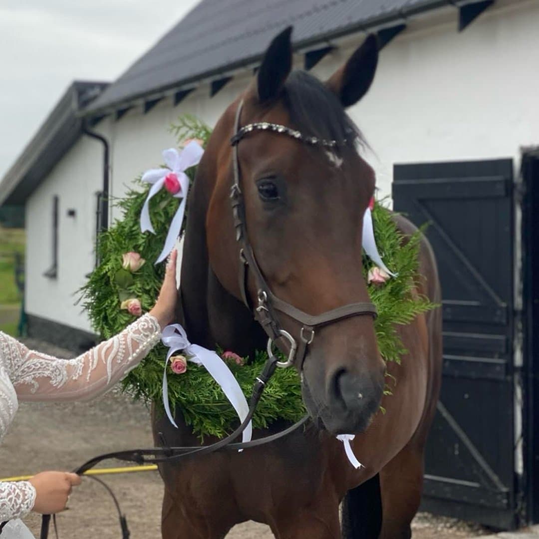 Bild 1 av Botoft's Sacho