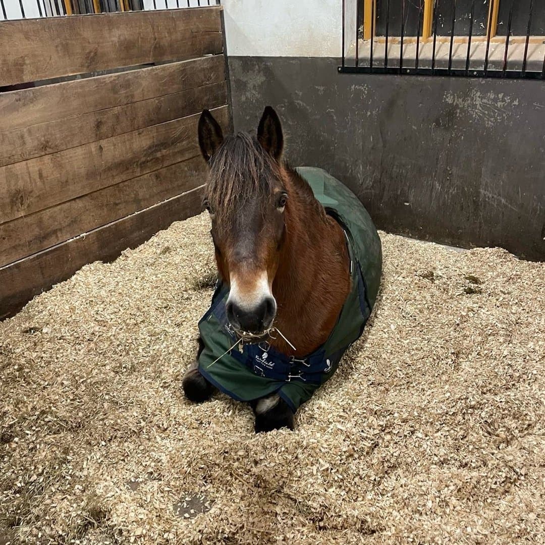 Bild 1 av Sigdalspila