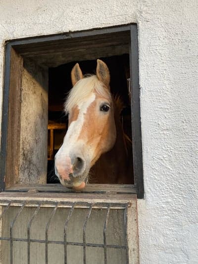 Inlägg 15 av Hunting