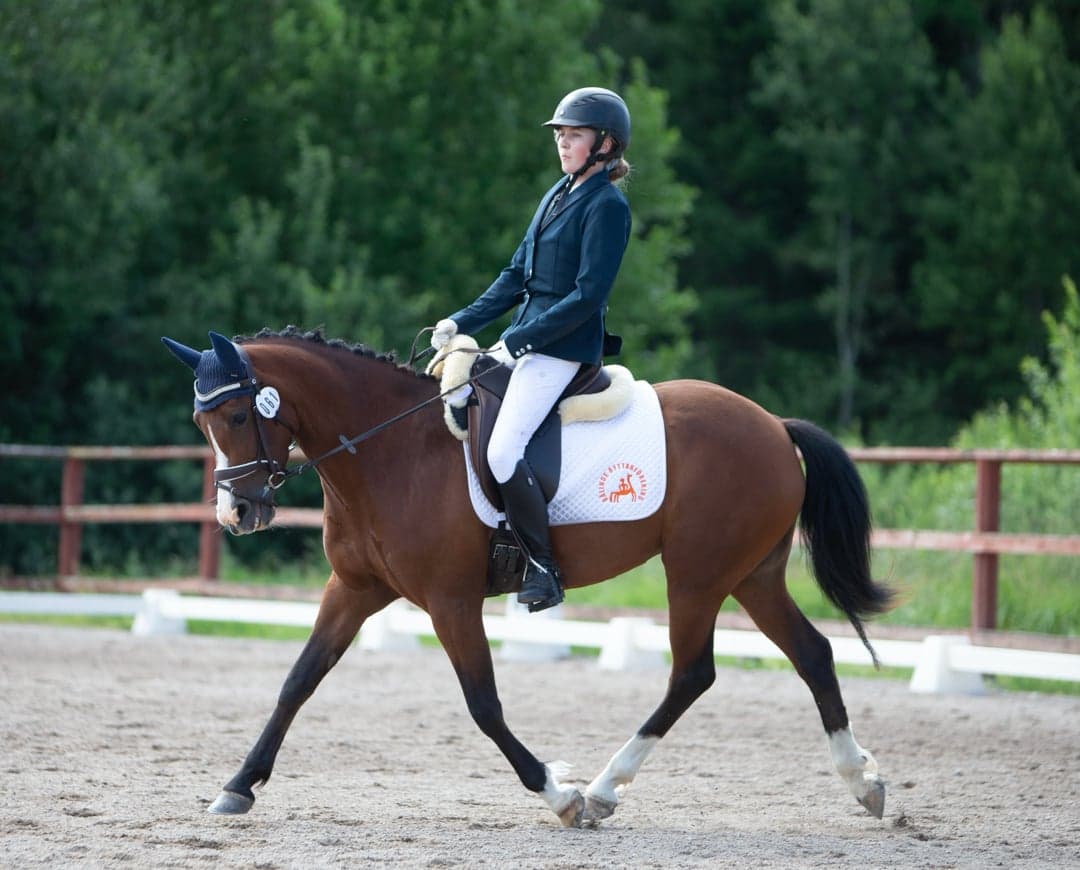 Bild 1 av Joly's Nisha