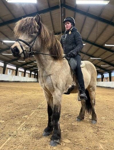 Inlägg 17 av Island