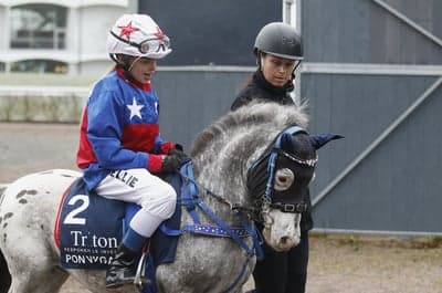 Ponnygalopp 